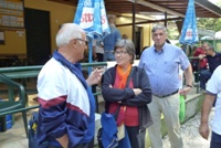 Clicca sulla foto per vedere ingrandimento